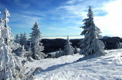 Winterlandschaft Feldberg / Schwarzwald Rainer Sturm  / pixelio.de